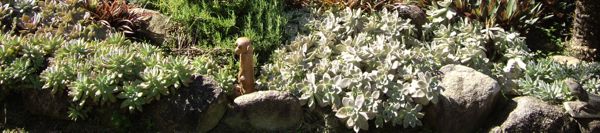 succ garden 2
